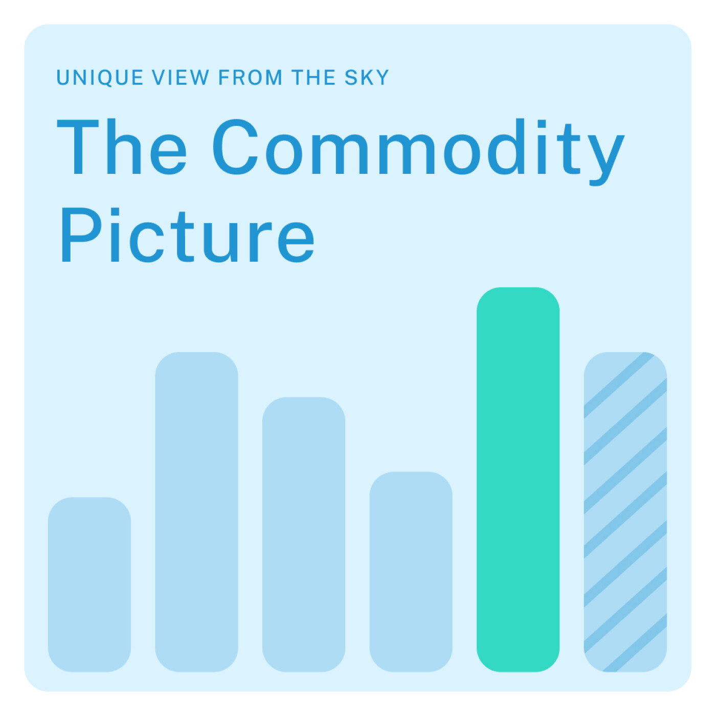 The Commodity Picture