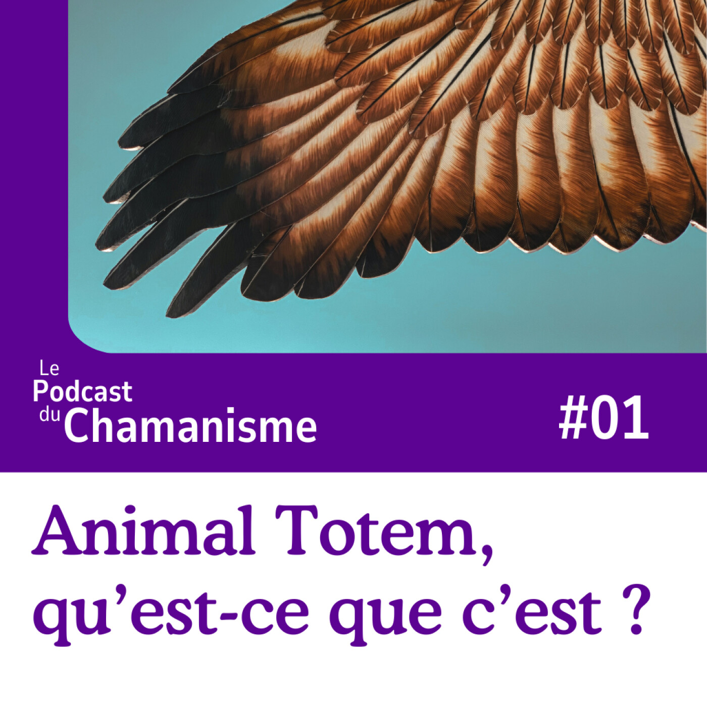 #01_Animal Totem, qu'est-ce que c'est ? episode artwork