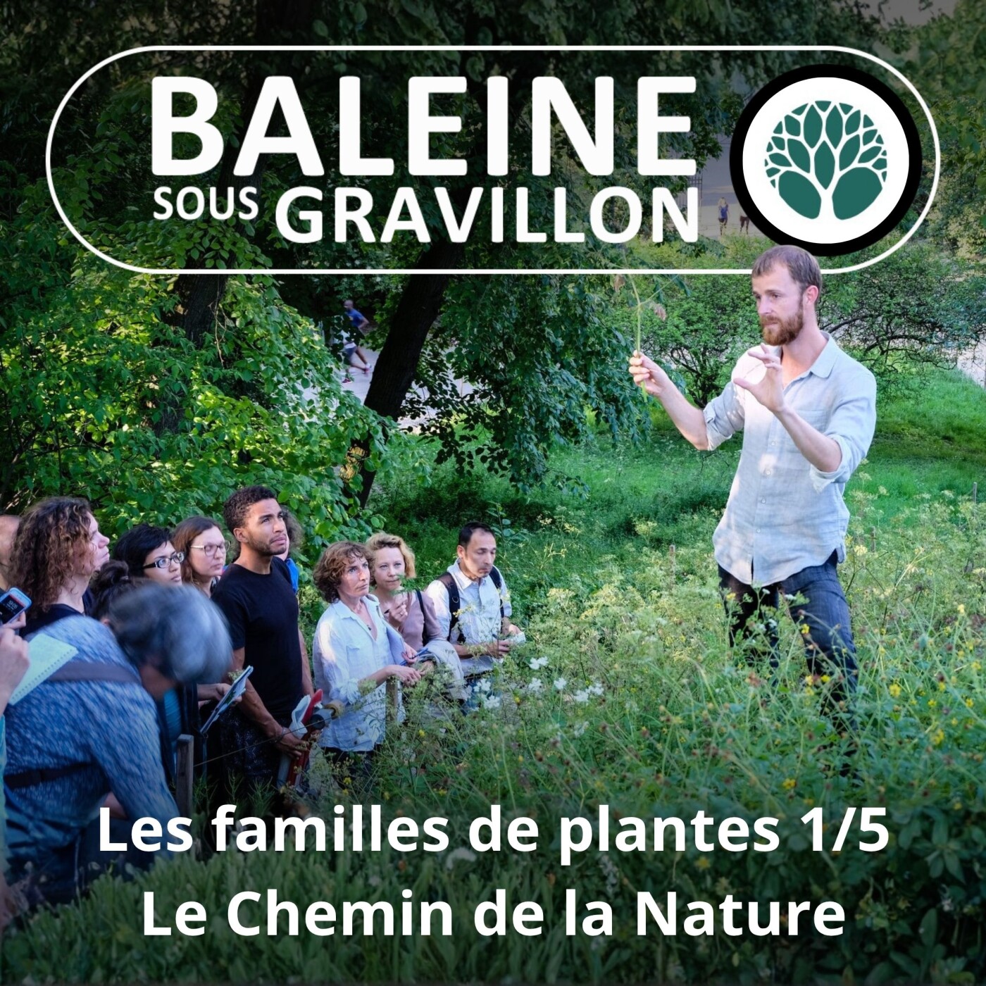 S04E51 Trois grandes familles de plantes 1/5 : Le Chemin de la Nature (Christophe de Hody) episode artwork