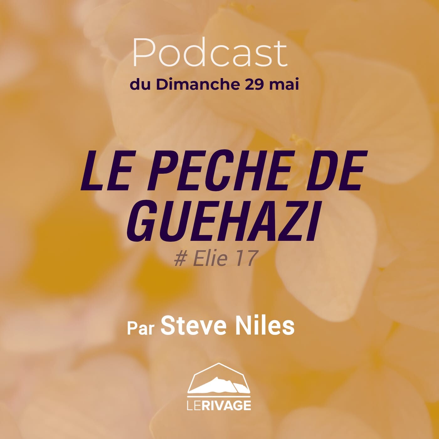 29 mai 2022 | 2 Rois 5 v 20-27 - Le péché de Guehazi episode artwork