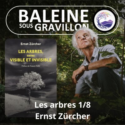 S03E80 Les arbres 1/8 : Entre visible et invisible, entre Ernst et Zürcher cover