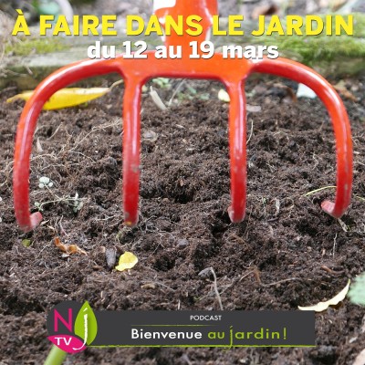 QUE FAIRE DANS LE JARDIN DU 12 AU 19 MARS ? cover