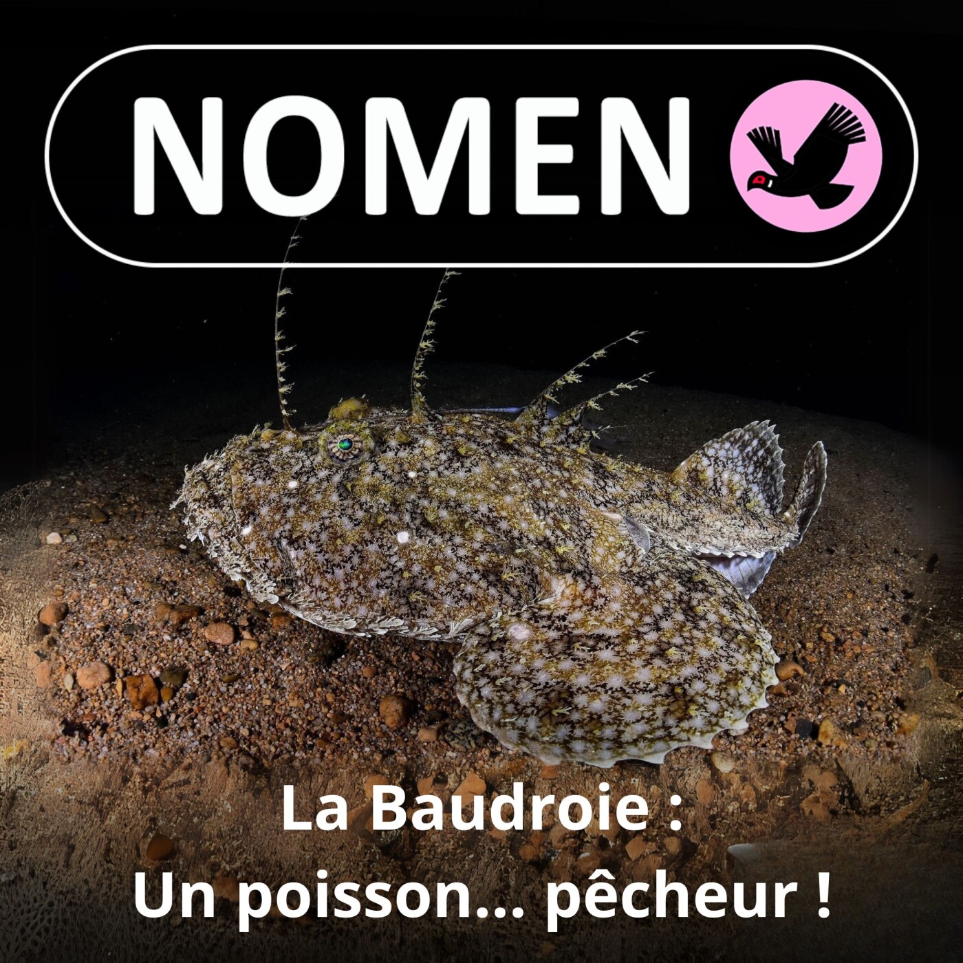 Nomen