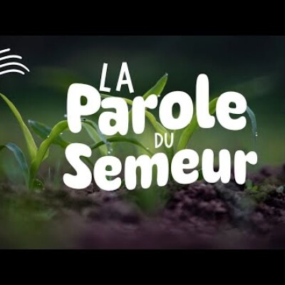 Parole et Évangile du jour |  Samedi 20 septembre • Ils regardent sans regarder ! + Neuvaine anges cover
