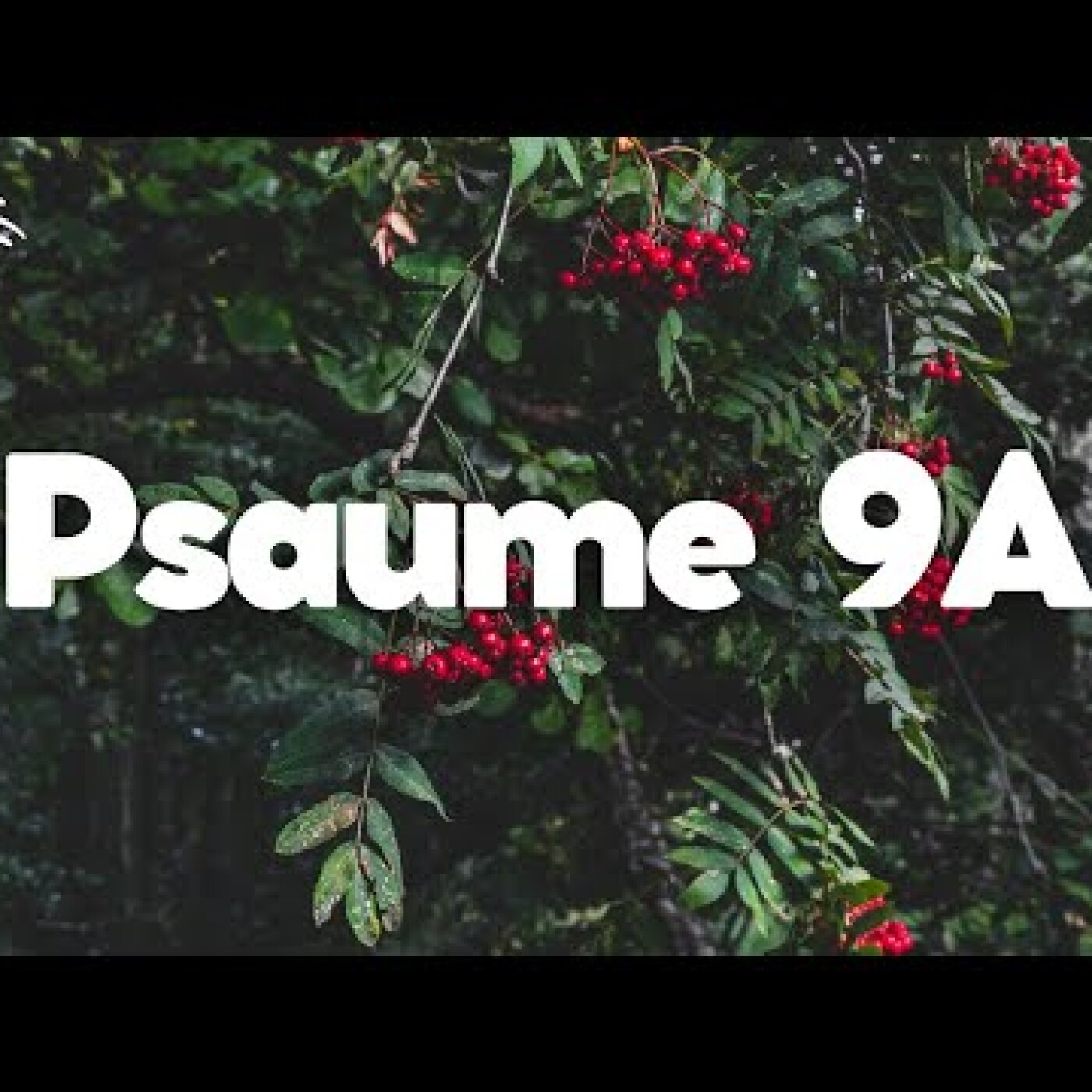 Evangile du jour | Parole du jour