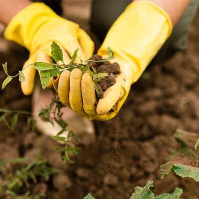 Jardin : ne laissez plus les mauvaises herbes gagner cover