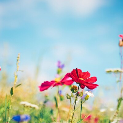 En Régions : nos entreprises ont du talent :) cover