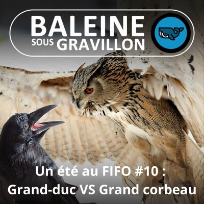BEST OF D'ÉTÉ #10 : Deux "grands" pas très copains, le Grand Corbeau et le Grand Duc (Victor Noël, naturaliste, auteur) cover