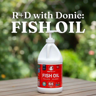 R+D with Donie: Fish Oil cover