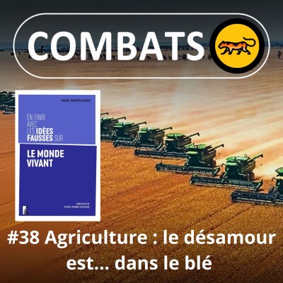 S04E38 Idées fausses : Agriculteur,s le désamour est dans... le blé cover