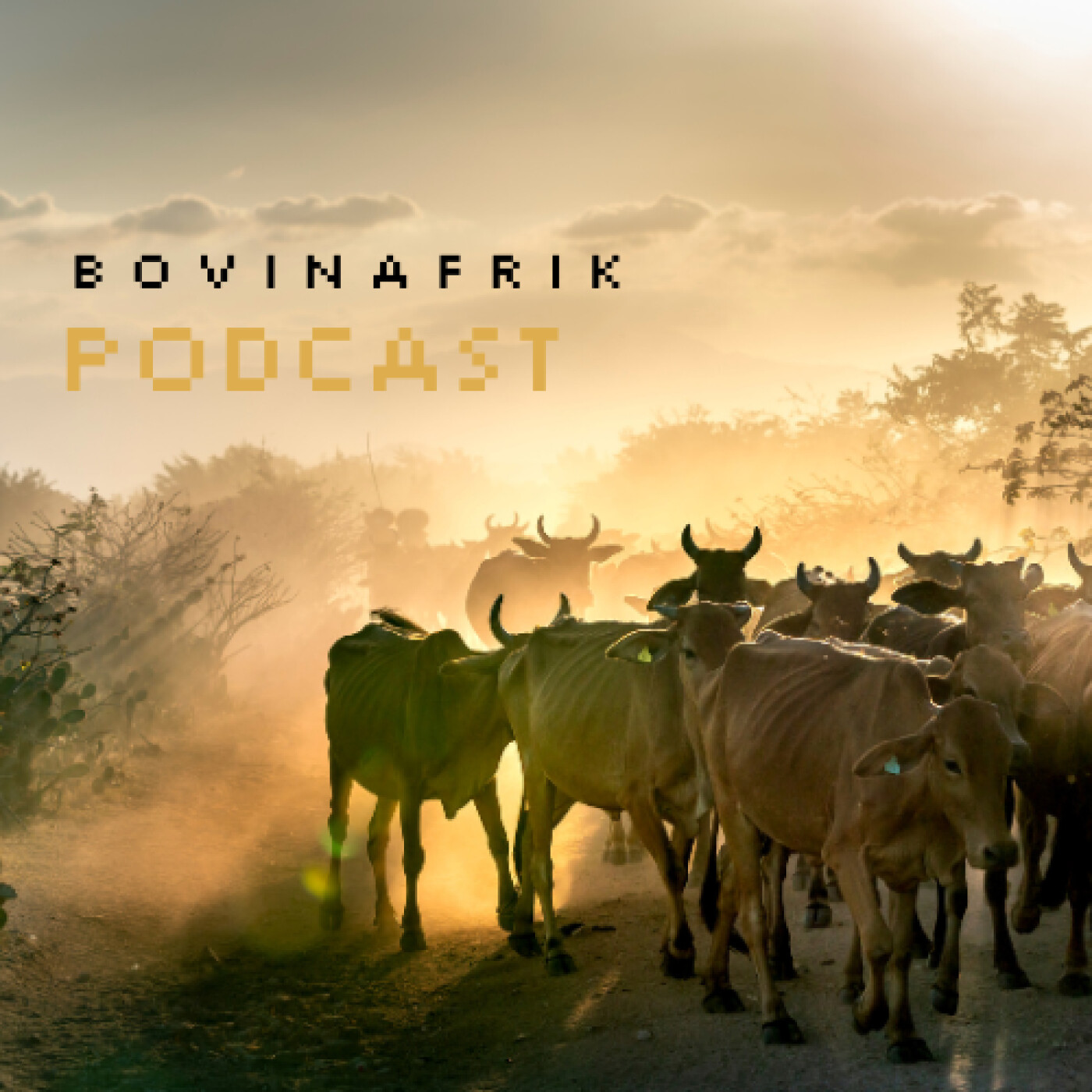 Bovinafrik Podcast podcast artwork