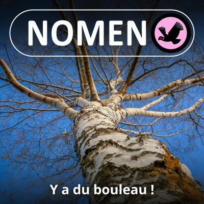 S02E36 Y'a du bouleau ! cover