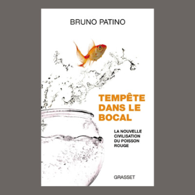 Bruno Patino - Tempête dans le bocal cover