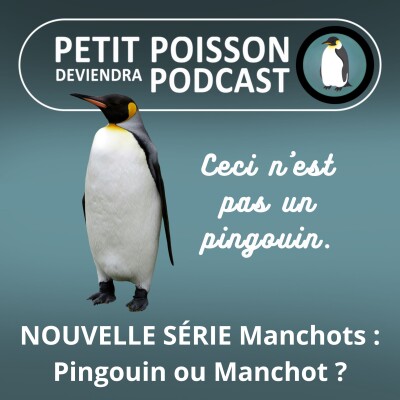 S05E10 NOUVELLE SÉRIE Manchots : Pingouin ou Manchot, quelle différence ? (Mathilde Chevallay) cover