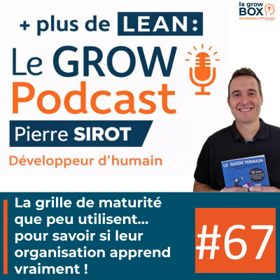 La grille de maturité que peu utilisent… pour savoir si leur organisation apprend vraiment ! cover