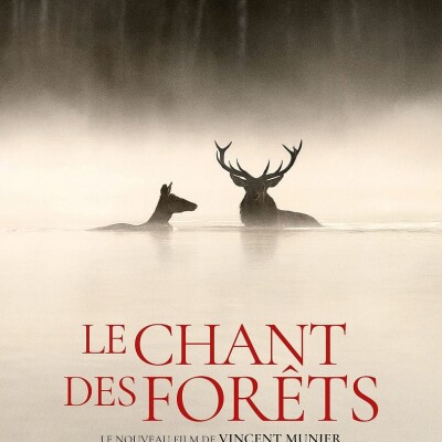 Le Chant des forêts cover