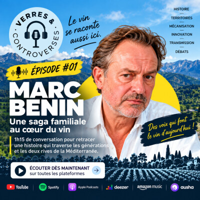 Marc Benin - Rock the Casbah. cover