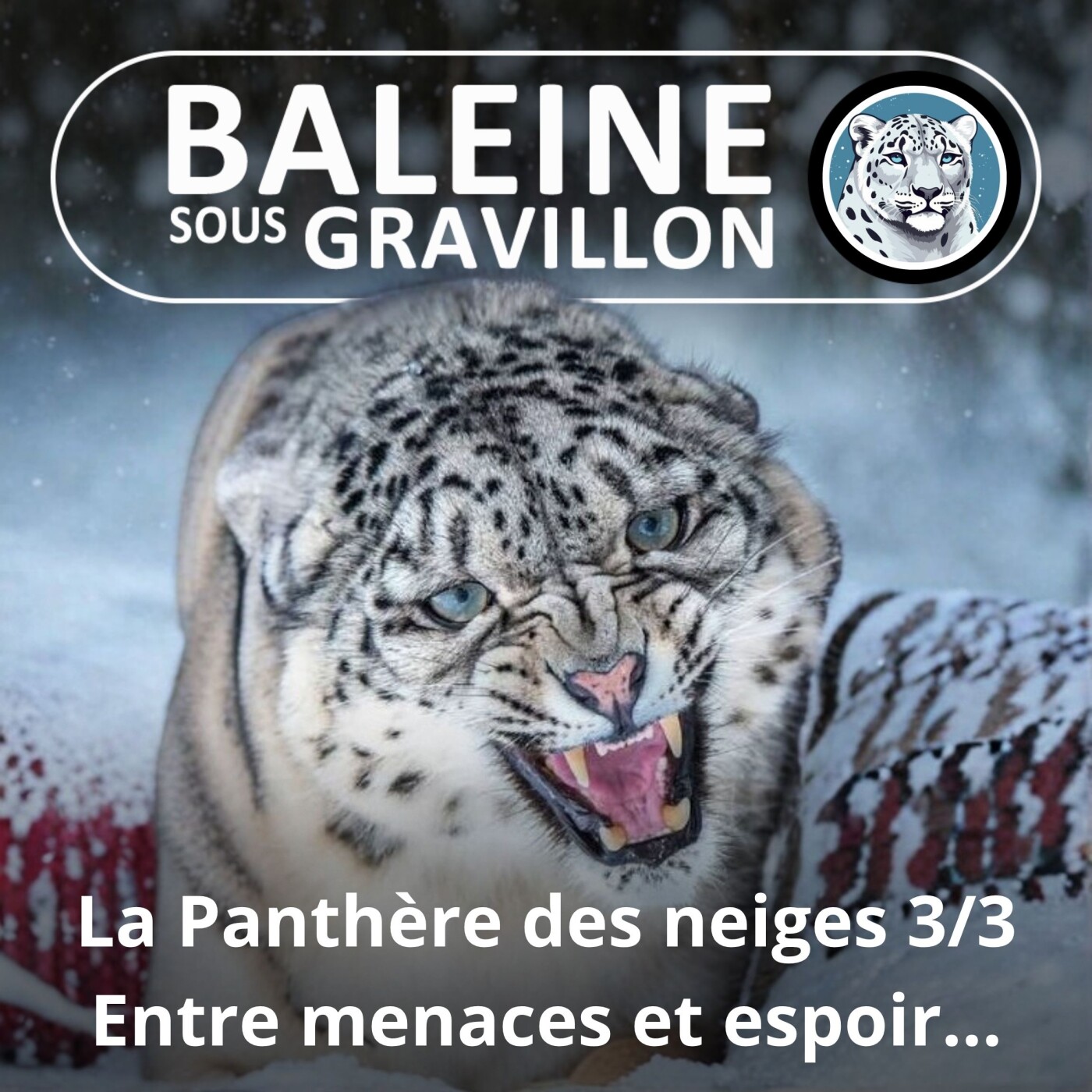 HORS-SÉRIE La Panthère des neiges 3/3 : Les menaces, mais aussi l'espoir ! episode artwork