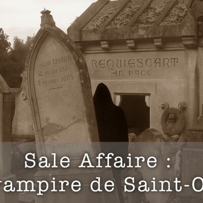 Sale Affaire : Le vampire de Saint-Ouen cover