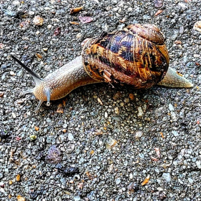 Jeu Soupe et Match cover