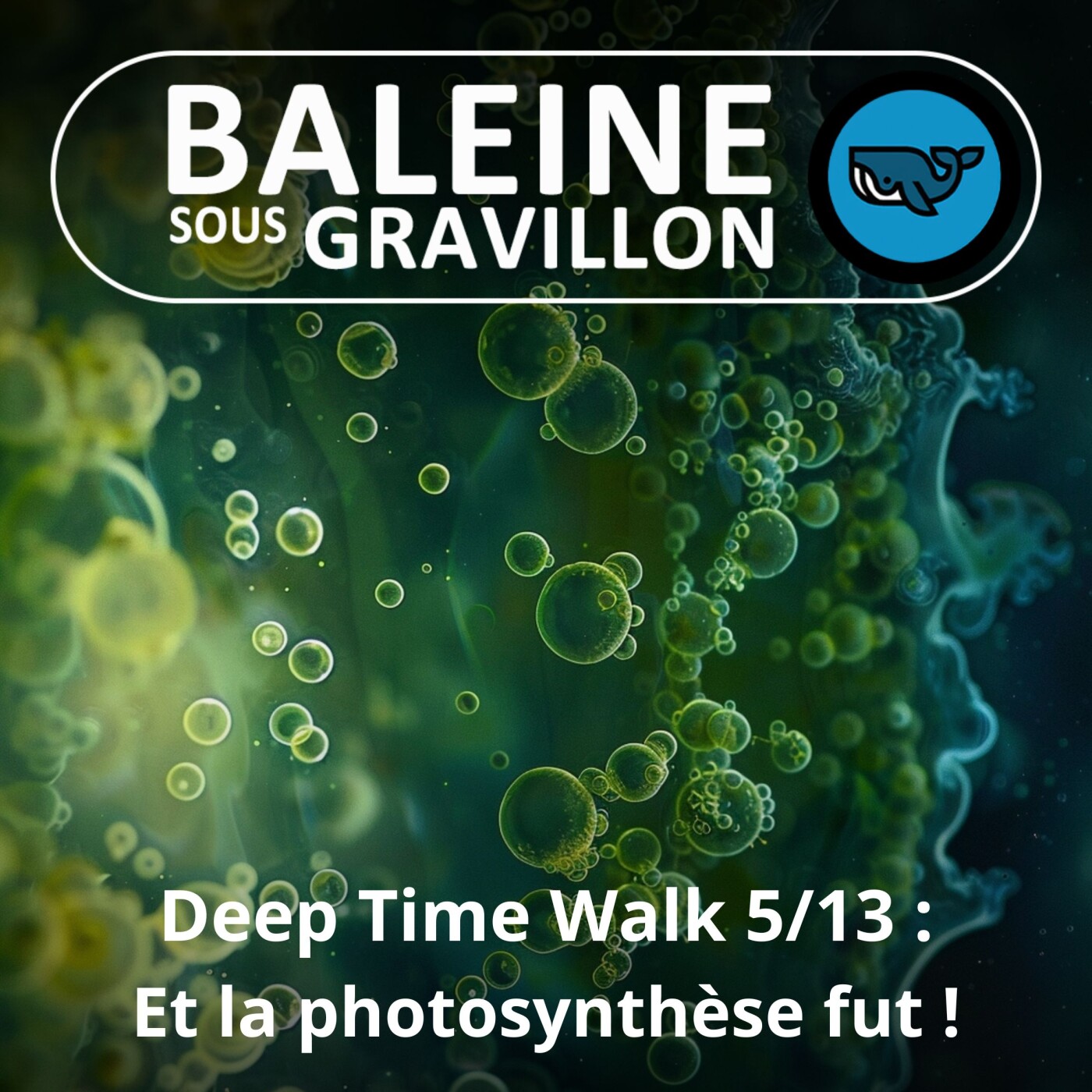Baleine sous Gravillon