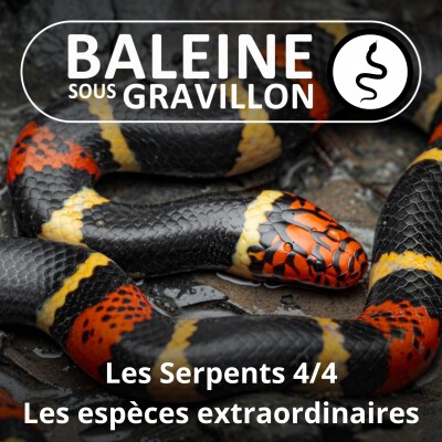 S02E47 Les Serpents 4/4 : Les espèces les plus étonnantes cover