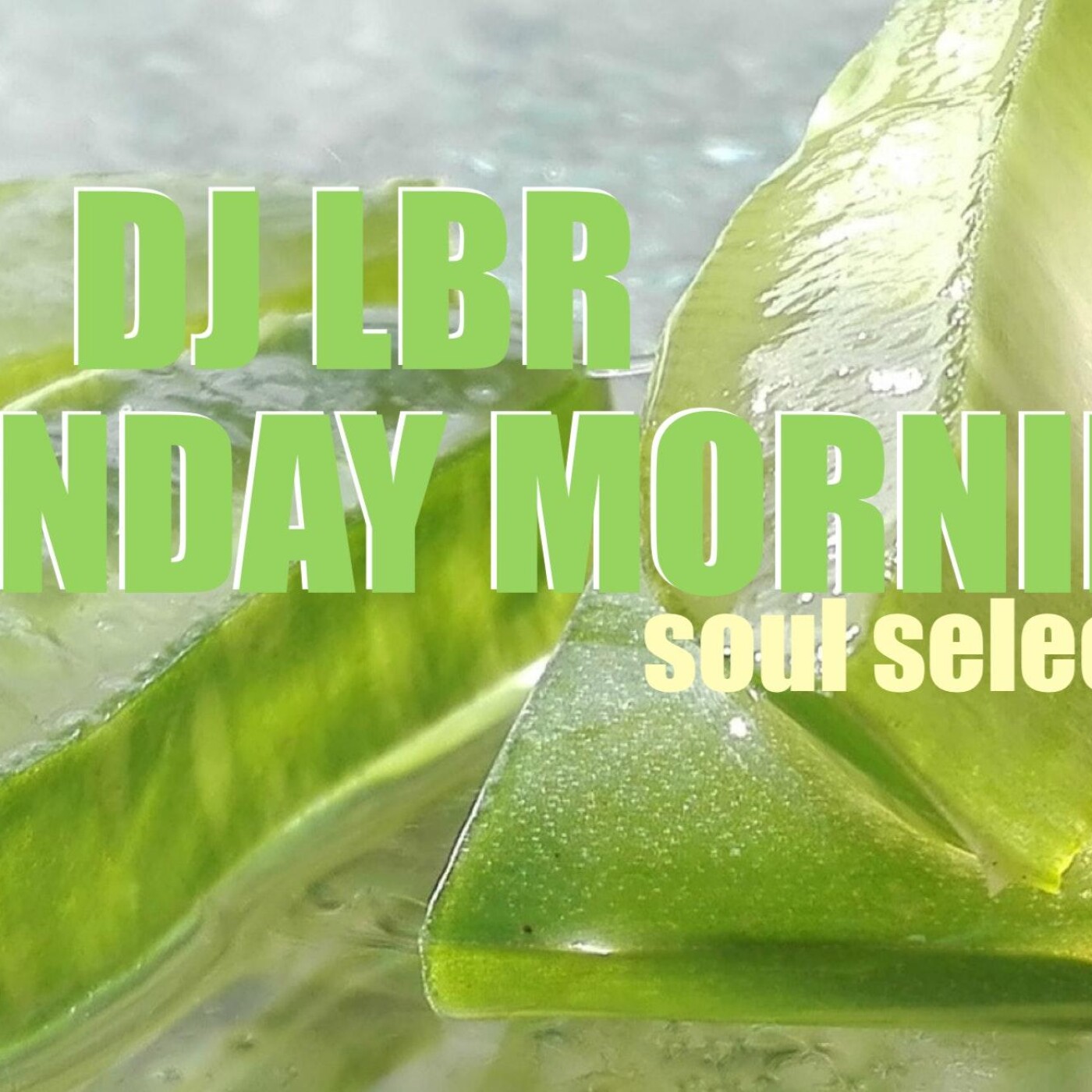 DJ LBR - THE OFFICIAL PODCAST