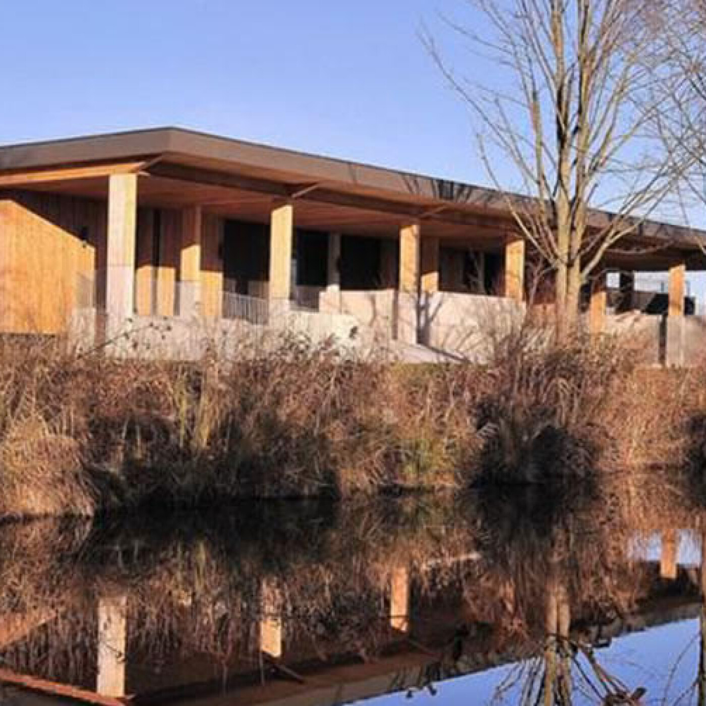 Hirtzfelden : Un mois de novembre riche en ateliers à la Maison de la Nature du Vieux-Canal episode artwork