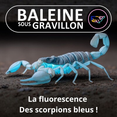 S07E140 Faire "-scence" : Être fluorescent, comment ça marche, à quoi ça sert ? cover