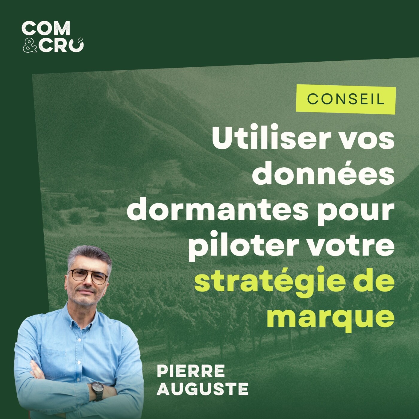 Utiliser vos données clients pour piloter votre stratégie de marque : les conseils de Pierre Auguste, créateur de Vinotracker & Datavision episode artwork