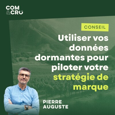 Utiliser vos données clients pour piloter votre stratégie de marque : les conseils de Pierre Auguste, créateur de Vinotracker & Datavision cover