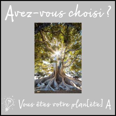Avez-vous choisi ? - Episode 096 - Vous êtes votre plan[ète] A. cover