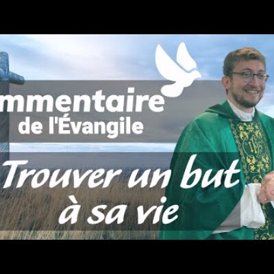 Trouver un sens à sa vie • Commentaire de l'Evangile | Homélie — Dimanche 8 mai cover