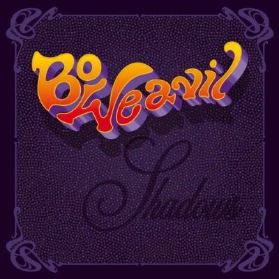 UN JOUR UN DISQUE #760 BO WEAVIL cover