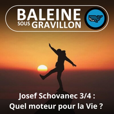HORS-SÉRIE Autisme 3/4 : L'anormalité, moteur de la Vie ? (Josef Schovanec) cover