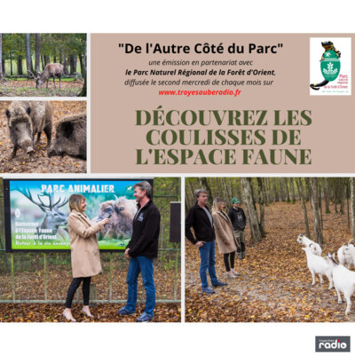 DE L'AUTRE CÔTÉ DU PARC - Au cœur de l'Espace Faune cover