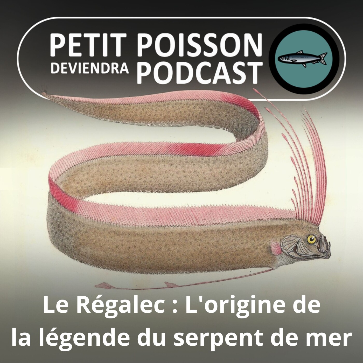 Petit Poisson deviendra Podcast