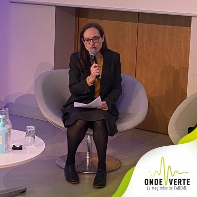 OV - Le pari gagnant des énergies renouvelables - Bénédicte Genthon cover