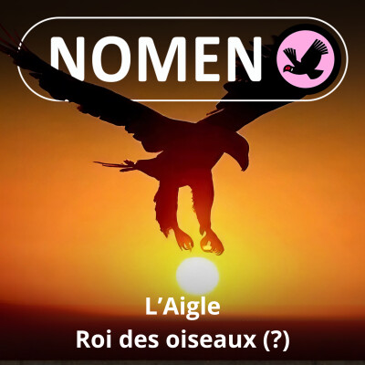S01E02 De l'aigle à l'aiglefin en passant par Arnaud et le capitaine Haddock! cover