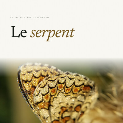 Le serpent cover