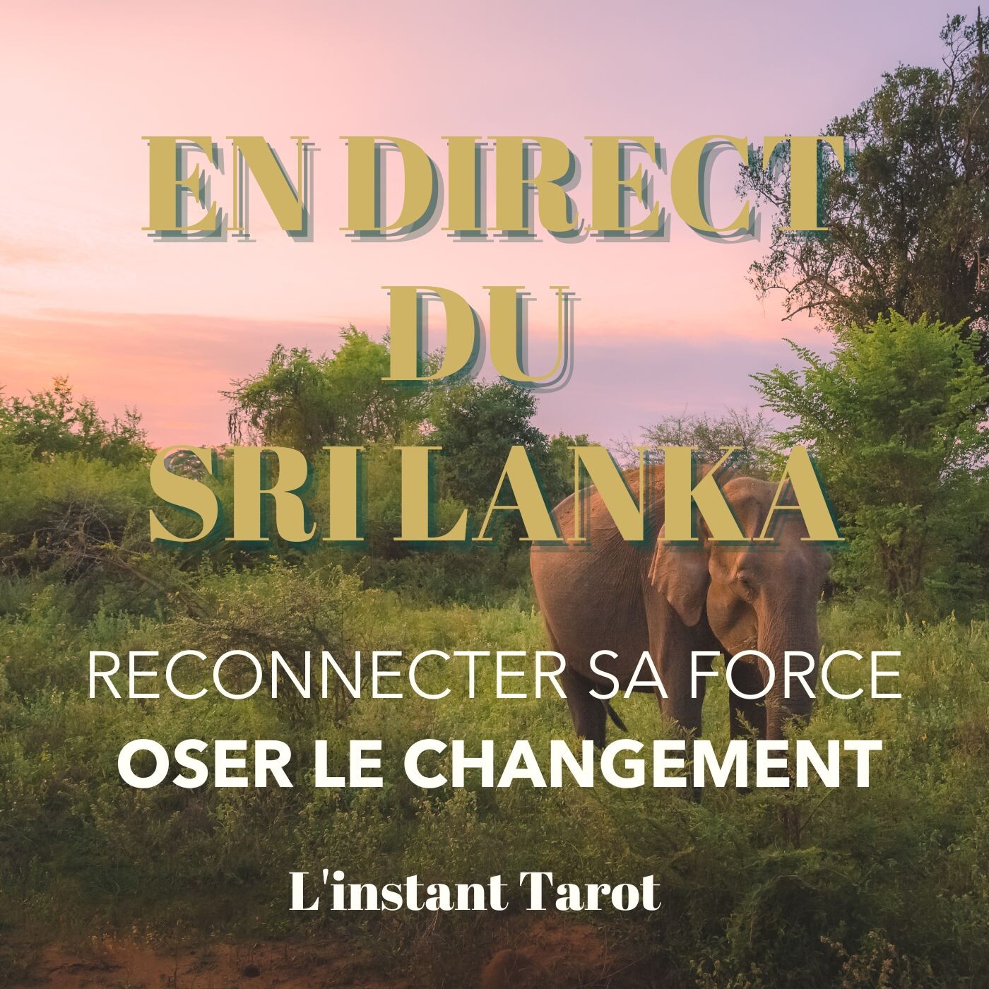L'INSTANT TAROT au SRI LANKA 🐘🌴 Osez le CHANGEMENT ⚡️🌀 (Un pays hallucinant) episode artwork