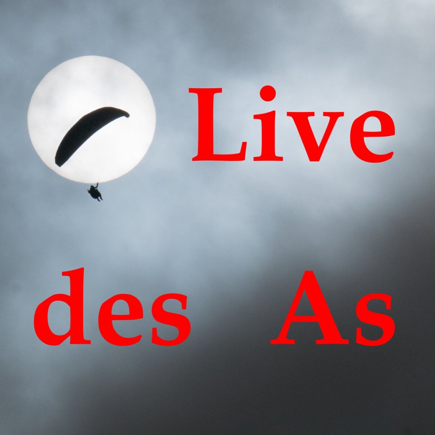 LAS3-Conception et entretien des voiles