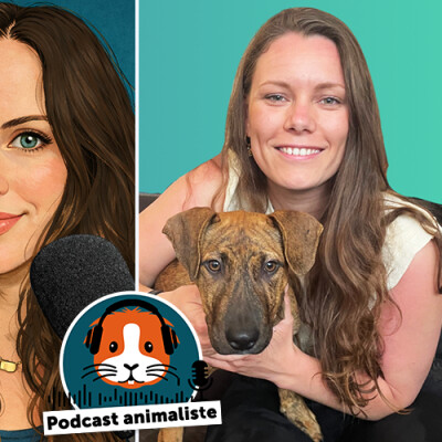 18. Kiweeto et l'importance des familles d'accueil cover