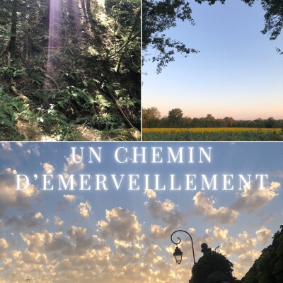 2/3 Le Chemin de Compostelle - À la Rencontre de l’inconnu cover
