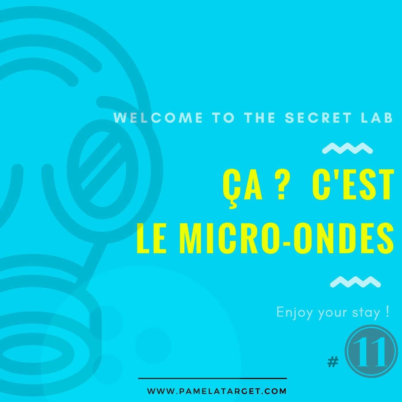 PTS01E11 The Secret Lab