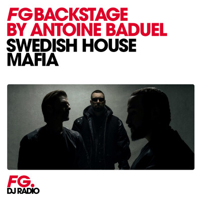 INTERVIEW : SWEDISH HOUSE MAFIA cover