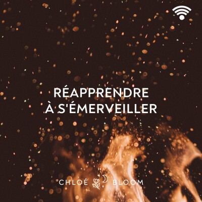 Réapprendre à s'émerveiller cover