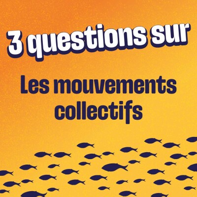 3 questions sur les mouvements collectifs à Guy Theraulaz cover