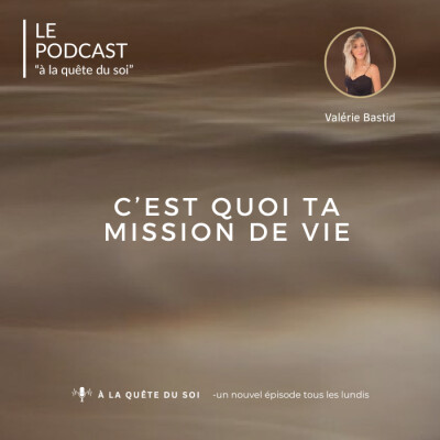 C'est quoi ta mission de vie ? cover