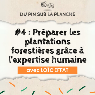 Préparer les plantations forestières grâce à l’expertise humaine - Loïc Iffat cover